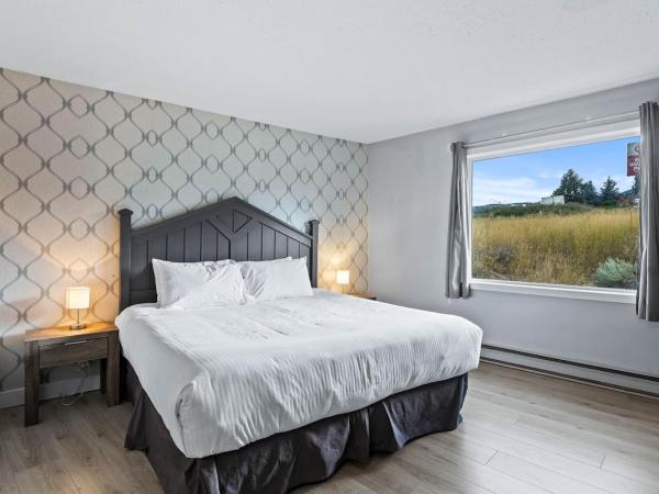 The Vista Inn : photo 1 de la chambre chambre lit king-size deluxe