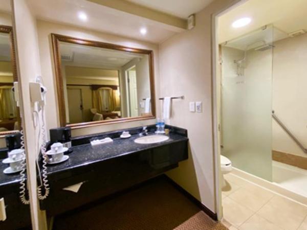 Safi Royal Luxury Centro : photo 4 de la chambre chambre double - vue sur jardin