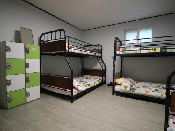 Bunk Backpackers Guesthouse : photo 3 de la chambre lit dans dortoir pour femmes de 6 lits