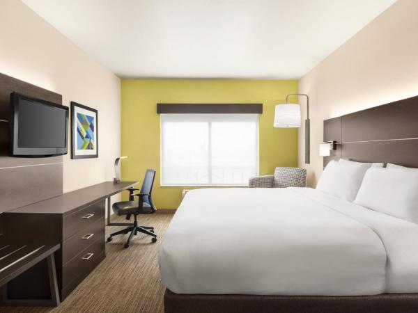 Holiday Inn Express Hotel & Suites San Antonio NW-Medical Area, an IHG Hotel : photo 9 de la chambre suite lit king-size – non-fumeurs