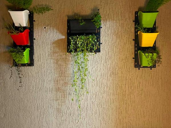 Bern Hostel By Zero Jhanjhat : photo 7 de la chambre lit dans dortoir mixte de 8 lits