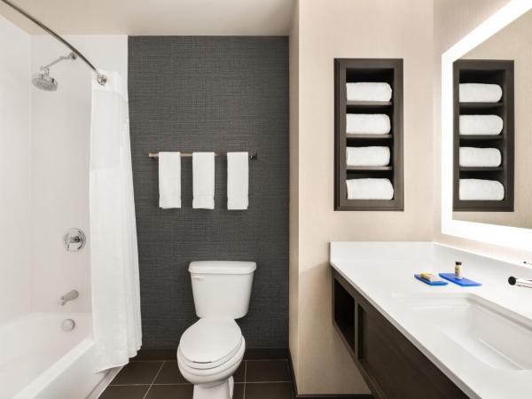 Holiday Inn Express & Suites Denver Airport, an IHG Hotel : photo 7 de la chambre chambre standard