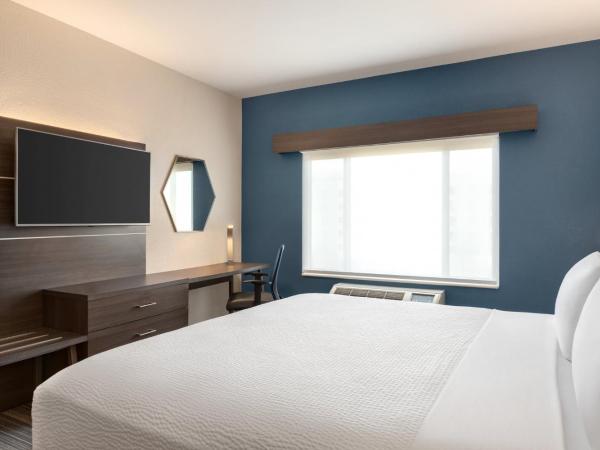 Holiday Inn Express & Suites Denver Airport, an IHG Hotel : photo 10 de la chambre chambre standard