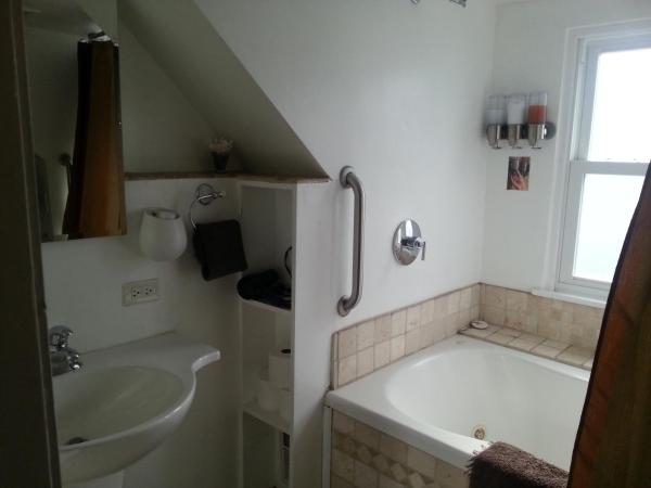 Ray's Bucktown Bed and Breakfast : photo 2 de la chambre chambre supérieure jacuzi