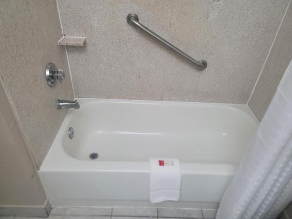 Baymont by Wyndham Houston Brookhollow : photo 4 de la chambre hébergement lit king-size - accessible aux personnes à mobilité réduite - baignoire avec barres d'appui - non-fumeurs