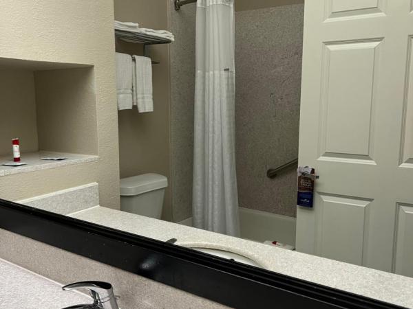 Baymont by Wyndham Houston Brookhollow : photo 6 de la chambre hébergement lit king-size - accessible aux personnes à mobilité réduite - baignoire avec barres d'appui - non-fumeurs