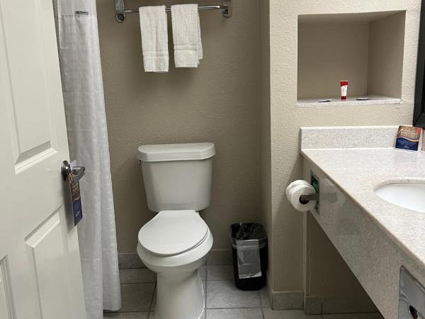 Baymont by Wyndham Houston Brookhollow : photo 6 de la chambre chambre lit king-size - non-fumeurs