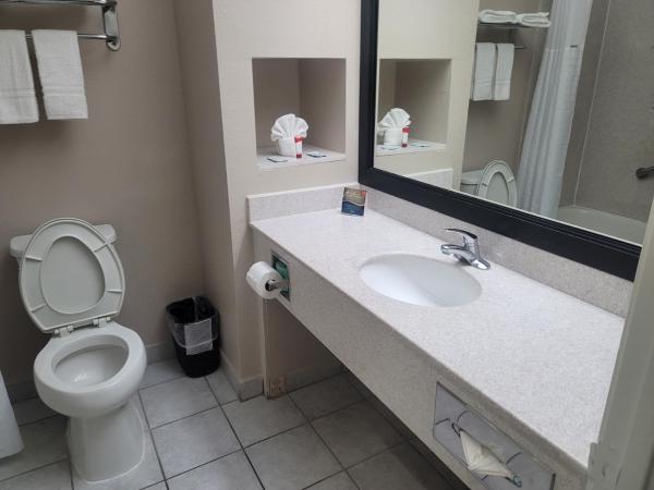 Baymont by Wyndham Houston Brookhollow : photo 8 de la chambre chambre 2 lits queen-size - non-fumeurs