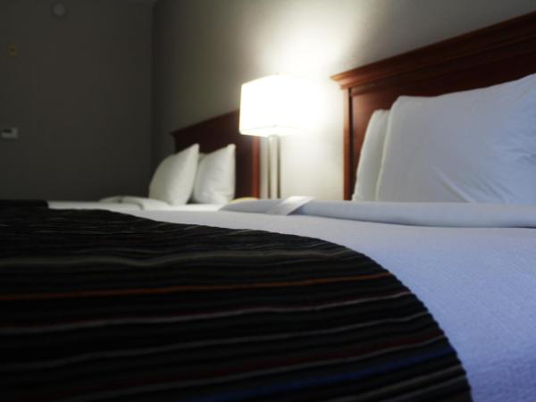 Country Inn & Suites by Radisson, Lackland AFB San Antonio , TX : photo 5 de la chambre chambre 2 lits queen-size - non-fumeurs