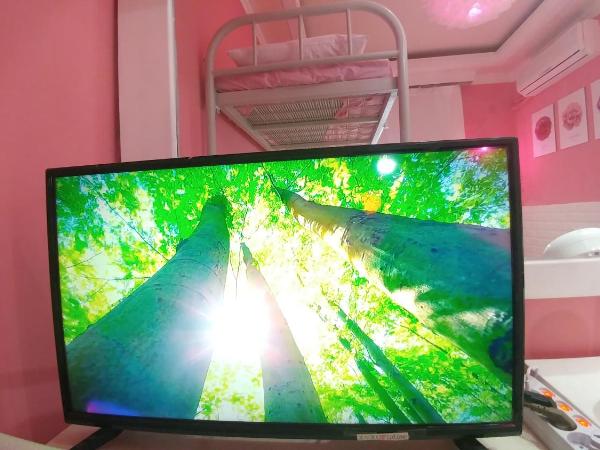 Spring Light : photo 6 de la chambre chambre double