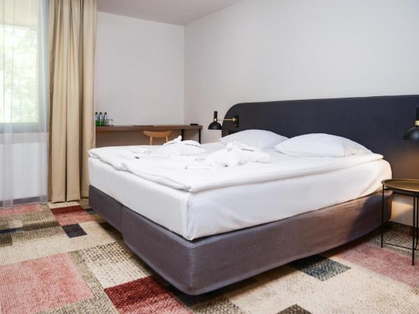 Forest Hotel : photo 4 de la chambre studio