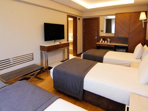 Sogut Hotel Old City : photo 10 de la chambre chambre lit king-size standard