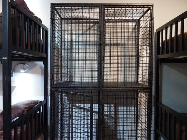 Wild Ones Hostel : photo 4 de la chambre lit dans dortoir mixte de 8 lits 