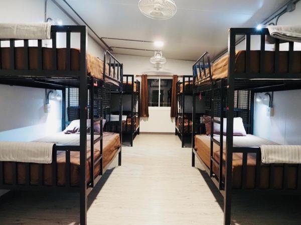 Wild Ones Hostel : photo 5 de la chambre lit dans dortoir mixte de 8 lits avec ventilateur 