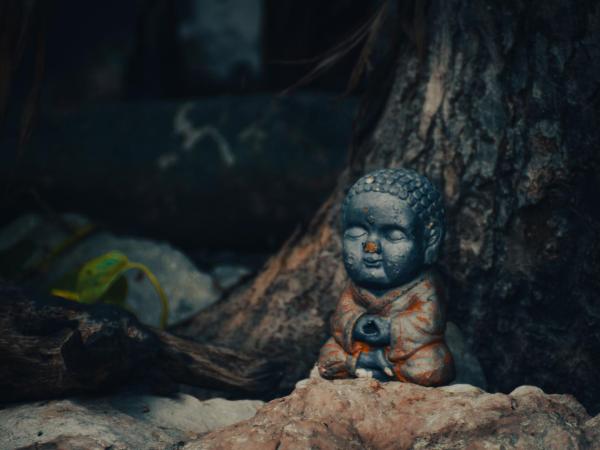 La Casa del Kéej Hostel : photo 1 de la chambre chambre double standard