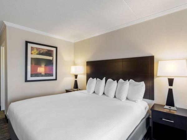 Best Western St Louis Kirkwood Route 66 : photo 3 de la chambre chambre lit king-size