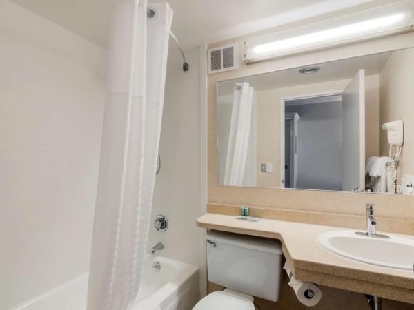 Best Western St Louis Kirkwood Route 66 : photo 1 de la chambre chambre 2 lits queen-size - animaux domestiques admis