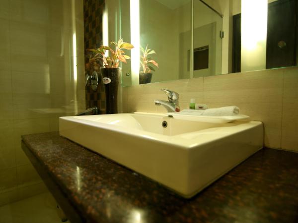 The Prime Balaji Deluxe at New Delhi Railway Station - Free Airport Pickup : photo 8 de la chambre executive double room with free airport pickup