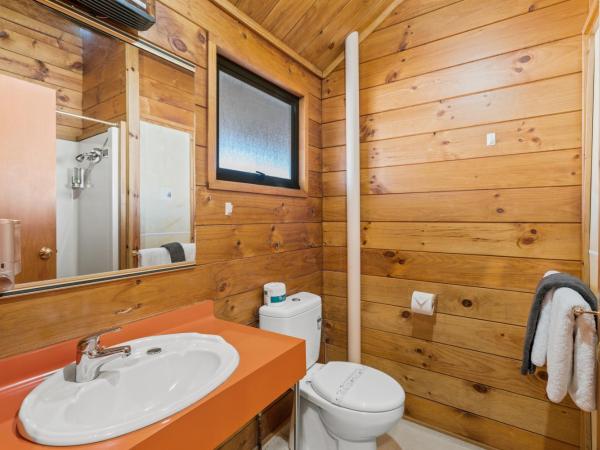Aspiring Lodge Motel : photo 4 de la chambre chambre lits jumeaux