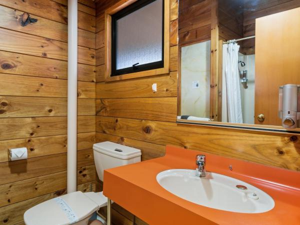 Aspiring Lodge Motel : photo 3 de la chambre chambre familiale