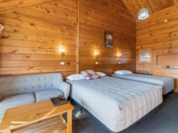 Aspiring Lodge Motel : photo 1 de la chambre chambre lits jumeaux