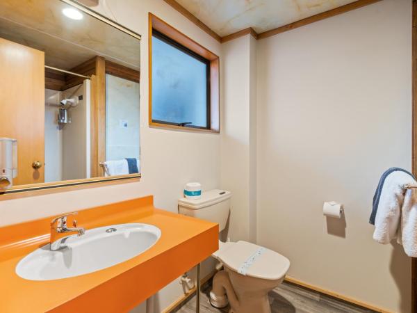 Aspiring Lodge Motel : photo 7 de la chambre chambre double standard