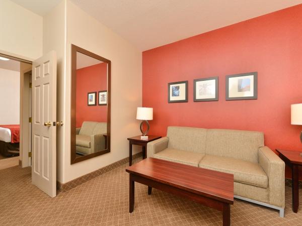 Comfort Inn & Suites Airport South : photo 4 de la chambre suite lit queen-size avec canapé-lit - non-fumeurs