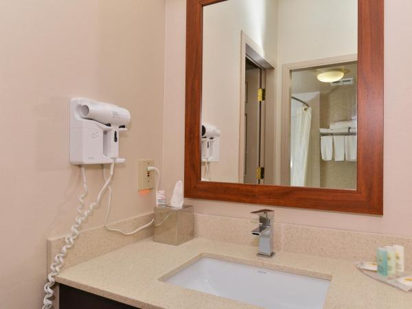 Comfort Inn & Suites Airport South : photo 2 de la chambre suite lit queen-size avec canapé-lit - non-fumeurs