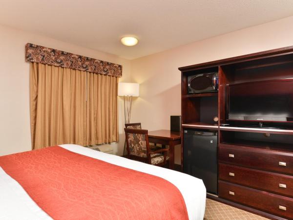 Comfort Inn & Suites Airport South : photo 3 de la chambre suite lit queen-size avec canapé-lit - non-fumeurs