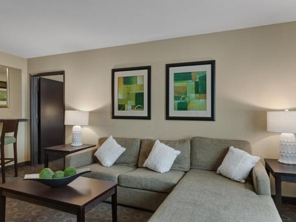 Crowne Plaza Houston Galleria Area, an IHG Hotel : photo 8 de la chambre suite 1 chambre lit king-size avec canapé-lit