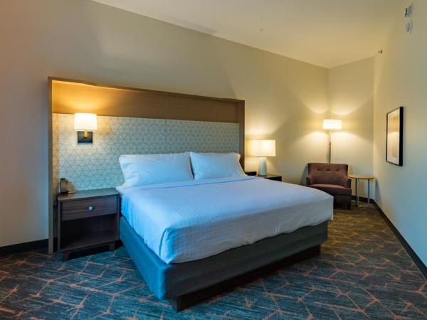 Hotel Spice & Sky Atlanta Perimeter : photo 3 de la chambre suite junior lit king-size - non-fumeurs