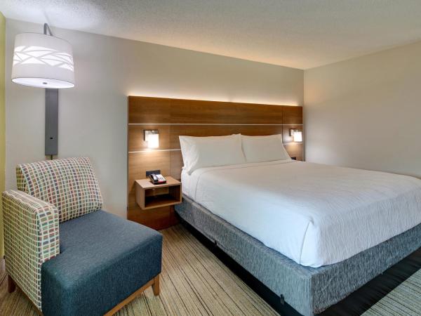 Holiday Inn Express Nashville W-I40, an IHG Hotel : photo 2 de la chambre chambre lit king-size