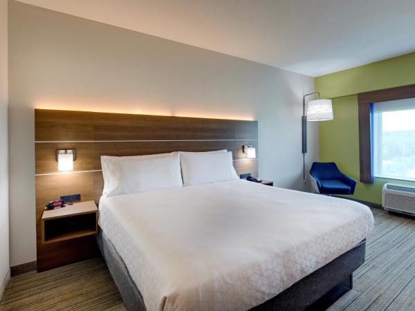 Holiday Inn Express Nashville-Opryland, an IHG Hotel : photo 2 de la chambre chambre lit king-size - non-fumeurs