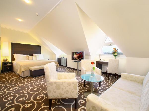 Grand Hotel Bohemia : photo 3 de la chambre suite junior