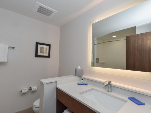 Holiday Inn Express & Suites Charlotte - Ballantyne, an IHG Hotel : photo 2 de la chambre chambre standard avec 2 lits queen-size