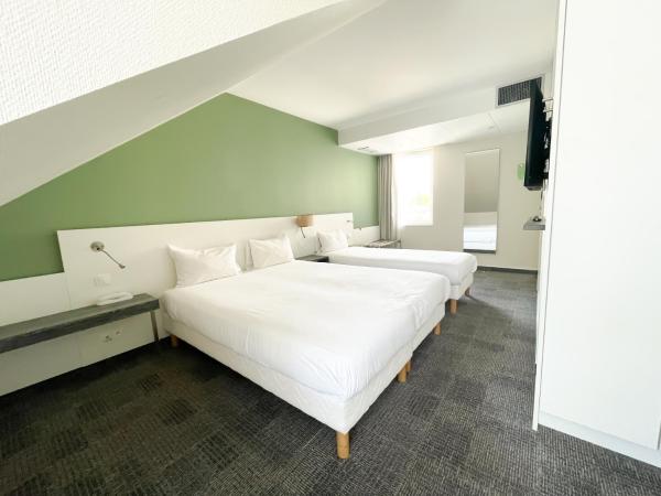 Greet Hotel Colmar : photo 3 de la chambre chambre pop avec 1 lit double et 1 lit simple