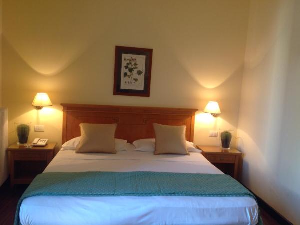 Hotel del Real Orto Botanico : photo 2 de la chambre chambre double Économique