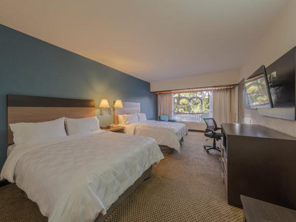 Holiday Inn Guadalajara Expo Plaza del Sol, an IHG Hotel : photo 2 de la chambre standard double room with two double beds and pool view