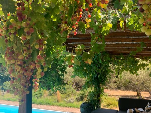 Les chambres SoleLuna Bonifacio : photo 4 de la chambre chambre double - vue sur piscine