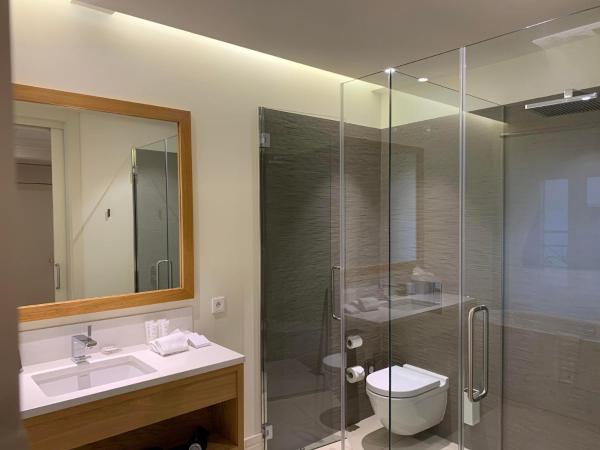 Hôtel de Cavoye : photo 6 de la chambre chambre double deluxe