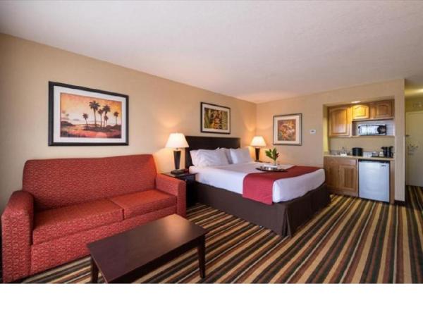 Holiday Inn & Suites Orlando SW - Celebration Area, an IHG Hotel : photo 2 de la chambre chambre lit king-size standard