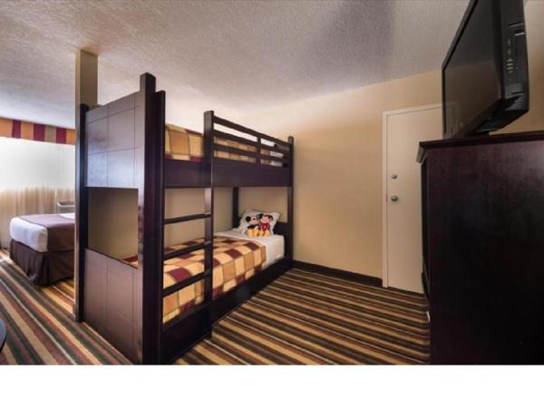 Holiday Inn & Suites Orlando SW - Celebration Area, an IHG Hotel : photo 4 de la chambre chambre avec 1 lit - non-fumeurs