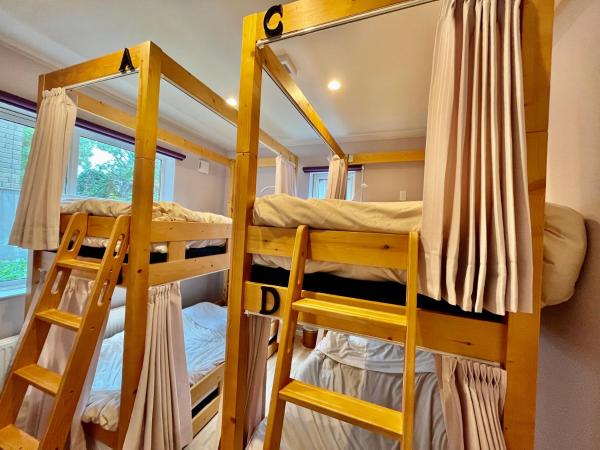 Family Tree Guest House : photo 6 de la chambre lit dans dortoir pour femmes de 4 lits