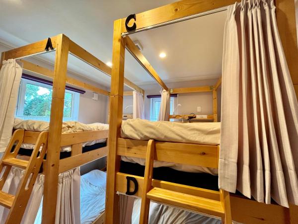 Family Tree Guest House : photo 3 de la chambre lit dans dortoir pour femmes de 4 lits