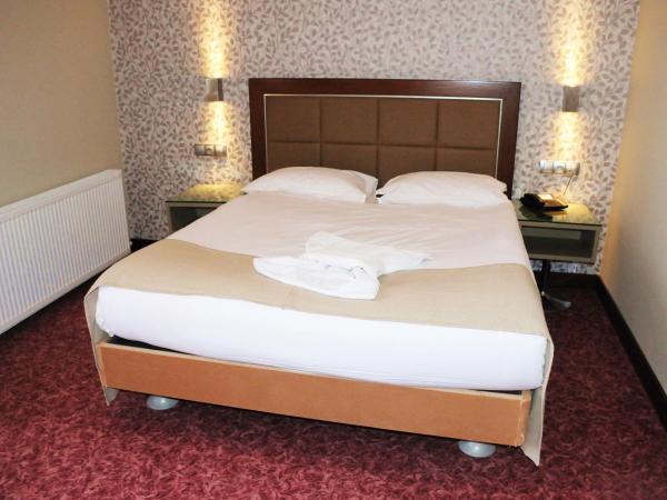 HİTİT OTEL : photo 4 de la chambre suite standard