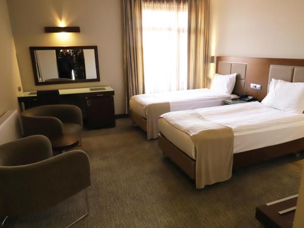 HİTİT OTEL : photo 1 de la chambre chambre lits jumeaux standard