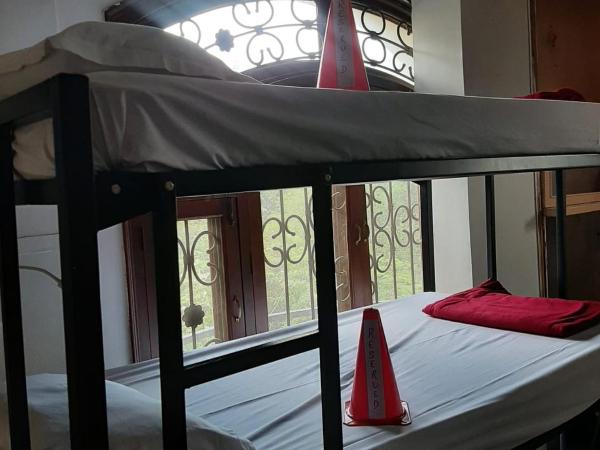 KyGo Hostels : photo 3 de la chambre lit superposé dans dortoir mixte