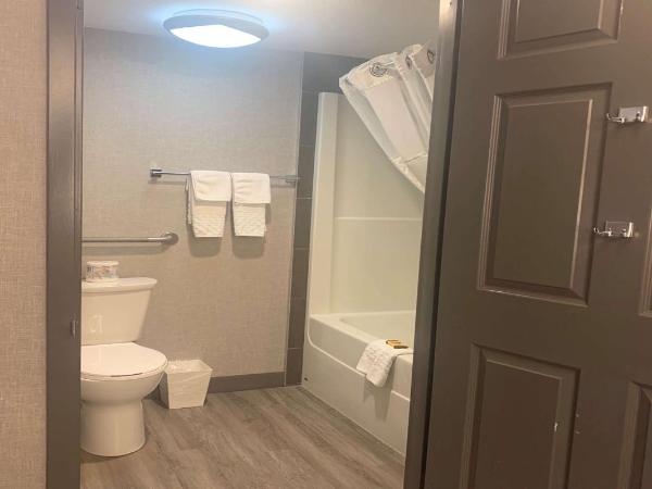 Best Western Plus West Edmonton : photo 5 de la chambre chambre lit king-size avec baignoire - accessible aux personnes à mobilité réduite - non-fumeurs