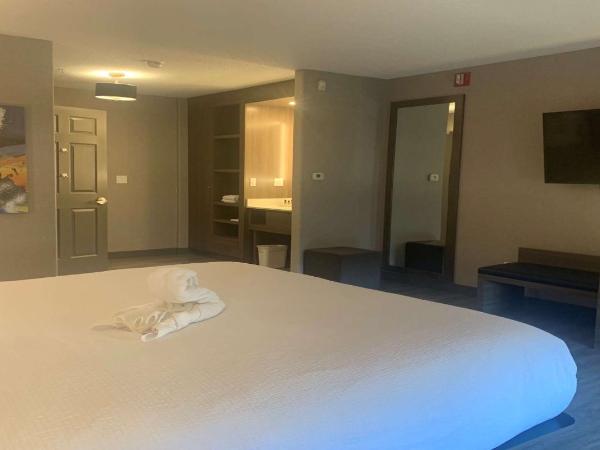 Best Western Plus West Edmonton : photo 2 de la chambre chambre lit king-size avec baignoire - accessible aux personnes à mobilité réduite - non-fumeurs