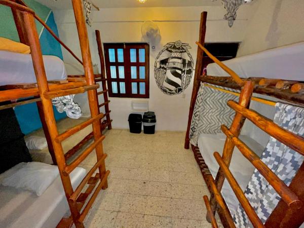 Straw Hat Hostel & Rooftop Bar : photo 5 de la chambre lit dans dortoir pour femmes de 6 lits